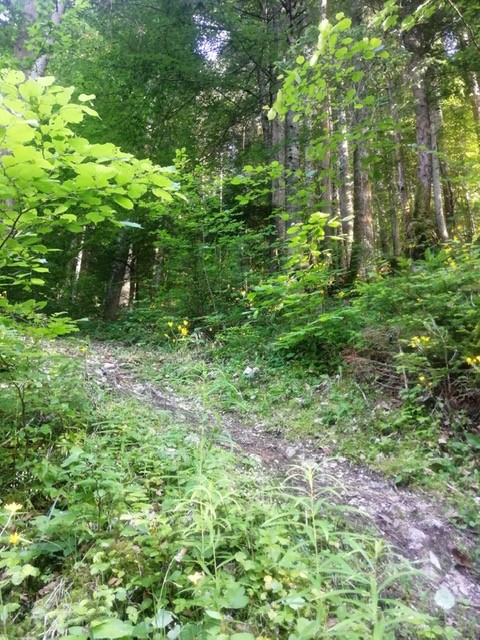 Photo 2020 06 28 23 10 00 1