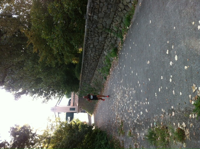 photo 3(4)